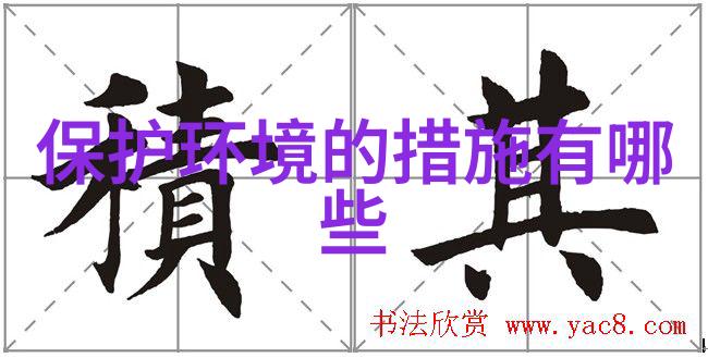 追光人推动光伏产业智能化革新江燕兴