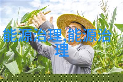 大邑变秸秆粪污为生物天然气并入气网