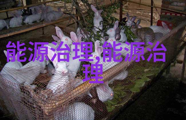 国内单机规模最大塔式光热发电项目全容量并网发电